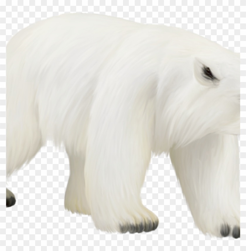 Polar Bear Clipart Pin Gina Atkins Peake On Youre An - Polar Bear - Png Download