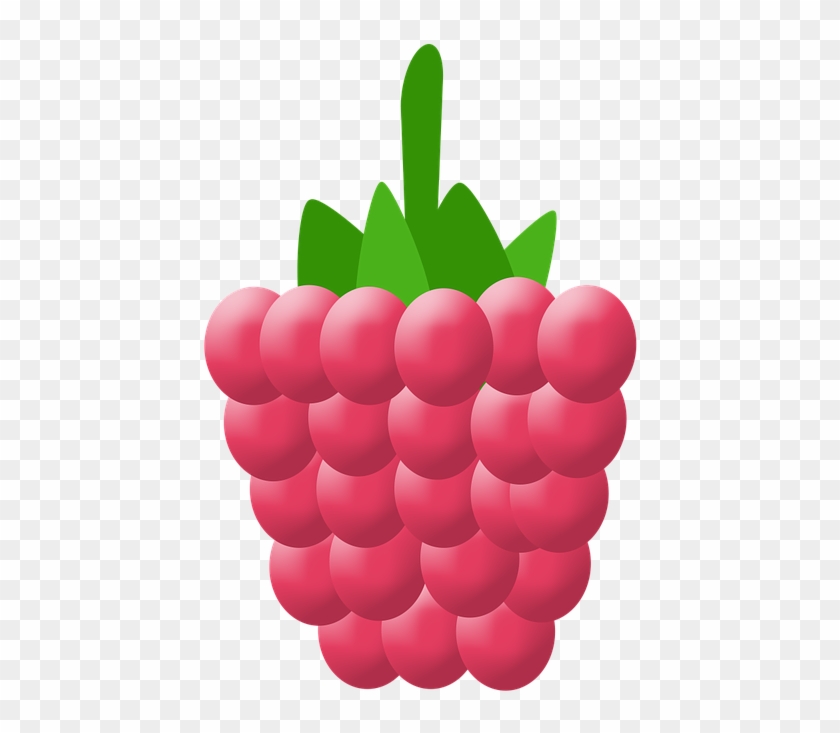 Seedless Fruit Clipart #2876811