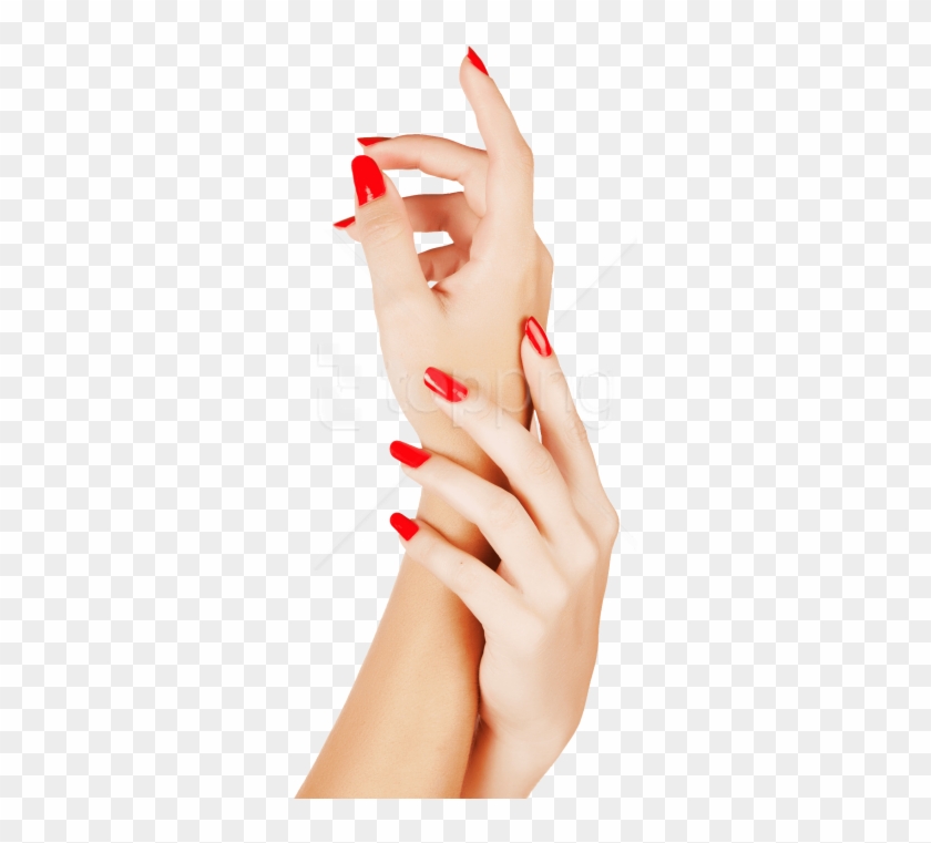 Free Png Nails Color Png Images Transparent - Hand Nail Polish Png Clipart #2876813