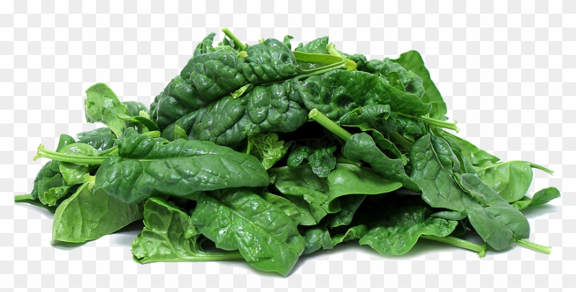 Download Spinach Png Clipart - Spinach Png Transparent Png #2877010