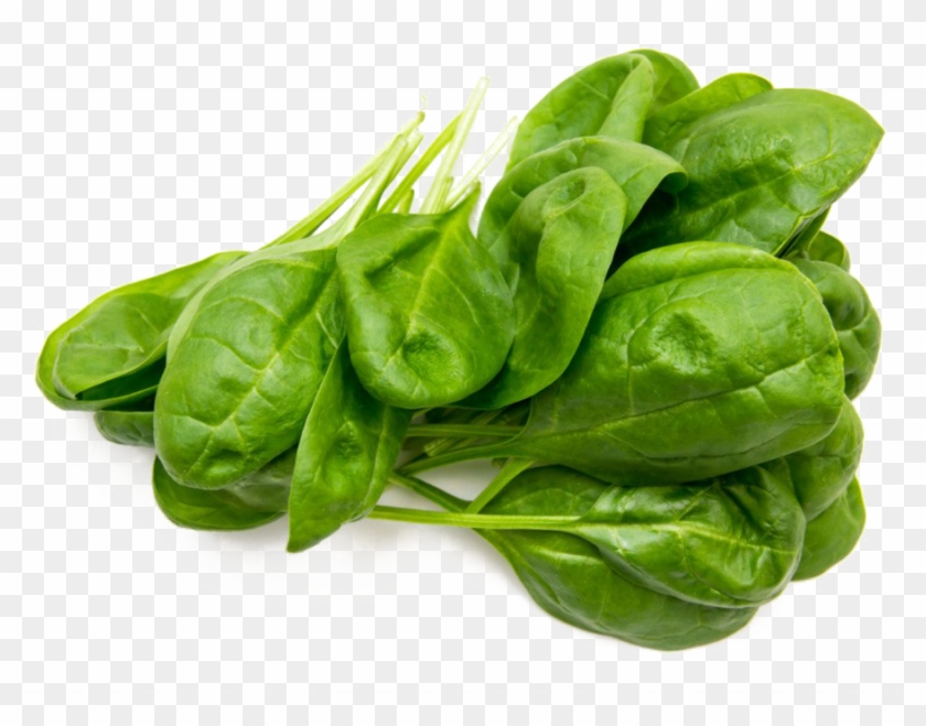 Spinach Png Free Image - Spinach Stock Clipart #2877052