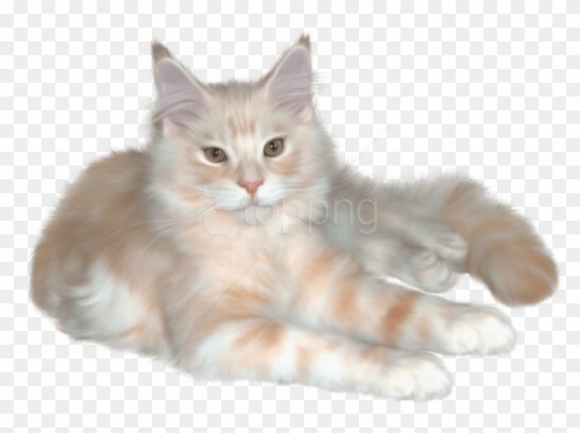 Real Cat Clipart - Png Download