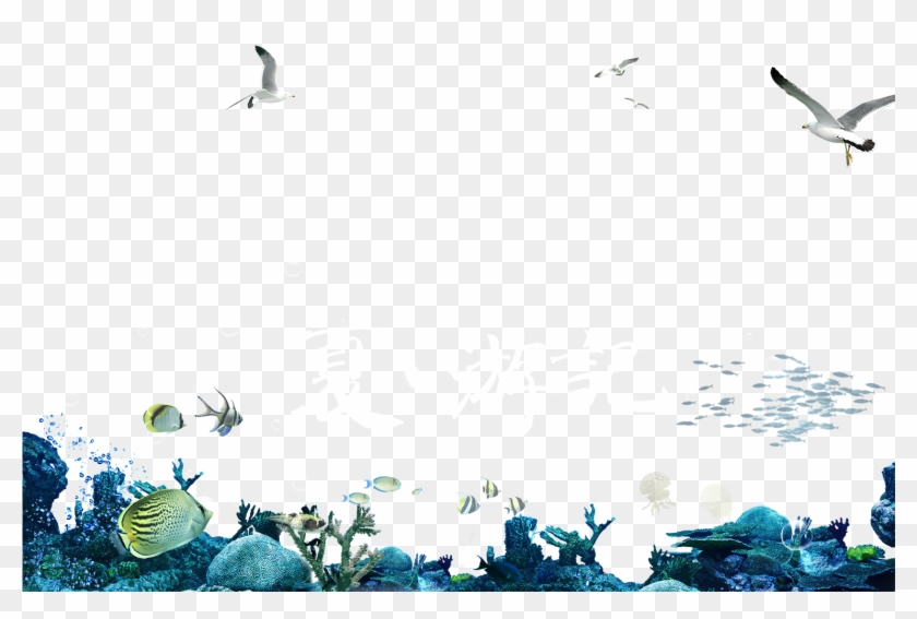 Jpg Free Stock Seabed Transprent Png Free Download - Flock Clipart