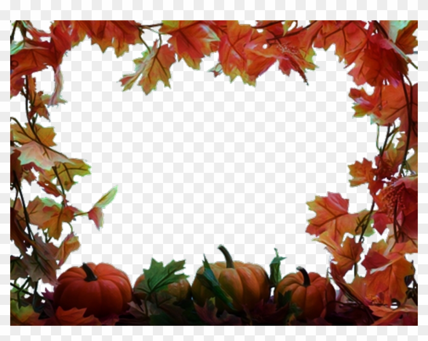 Halloween Pumpkin Autumn Leaves Fall Frame Transparent - Free Thanksgiving Background Clipart - Png Download
