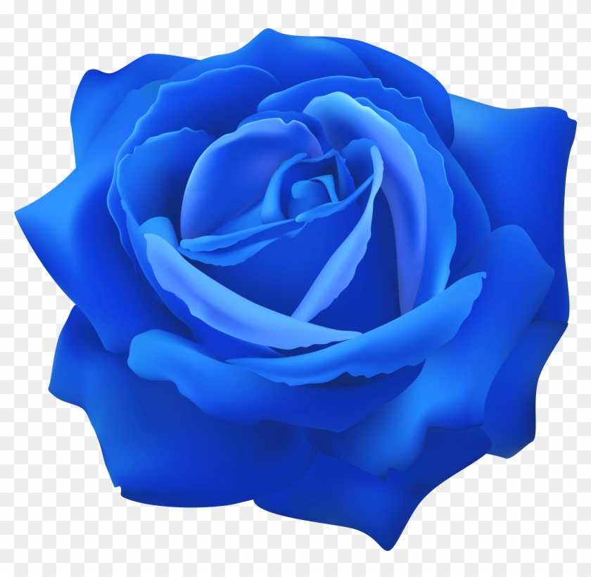 Blue Rose Flower Clip Art Image - Png Download #2882801