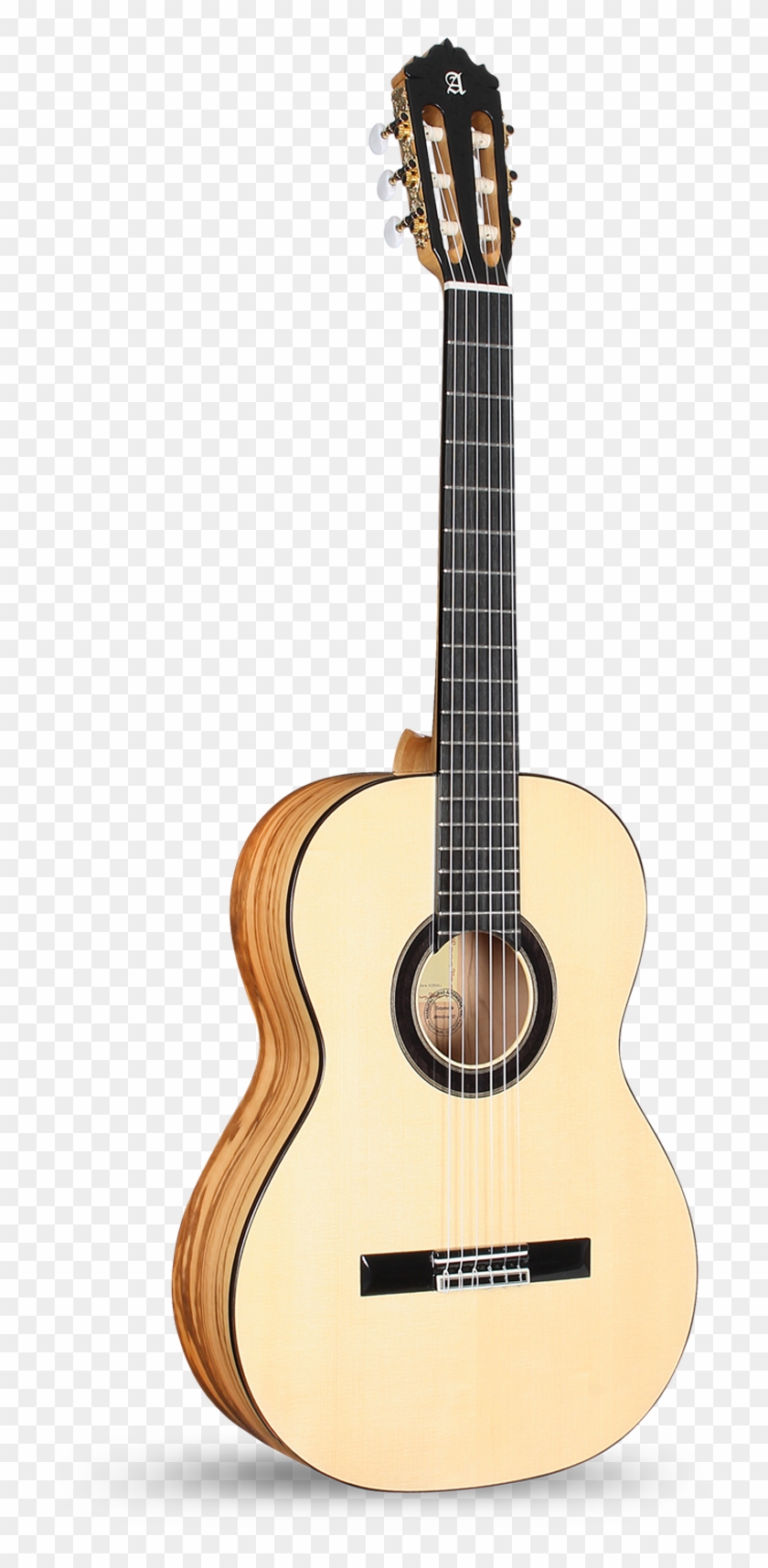 Exotic Woods Custom Collection - Eko Guitar Electro Classique Clipart
