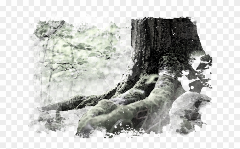 In The Lands Of The Woods, The Different Member Groups - Monochrome Clipart #2883667