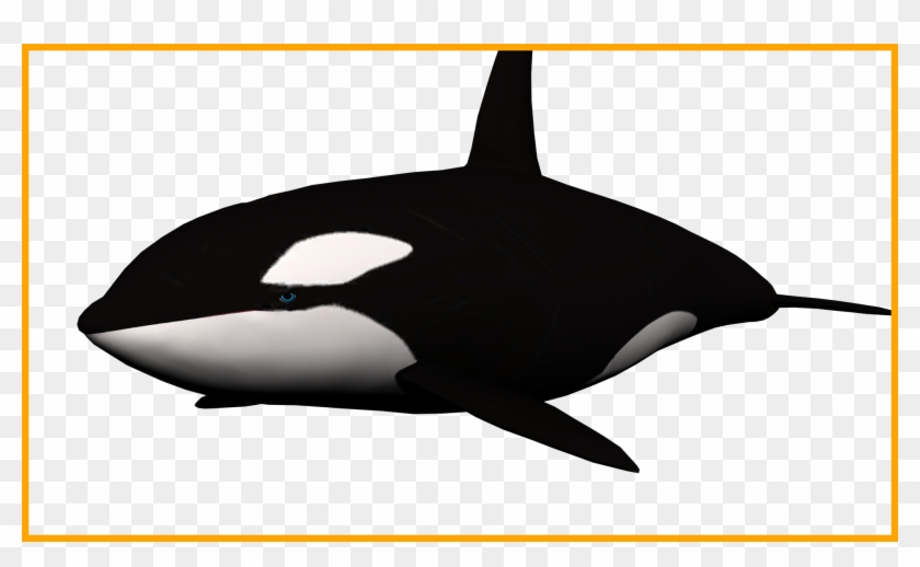 Stunning Pink Transparent Flowers Png Photo Frame Marcos - Killer Whale No Background Clipart
