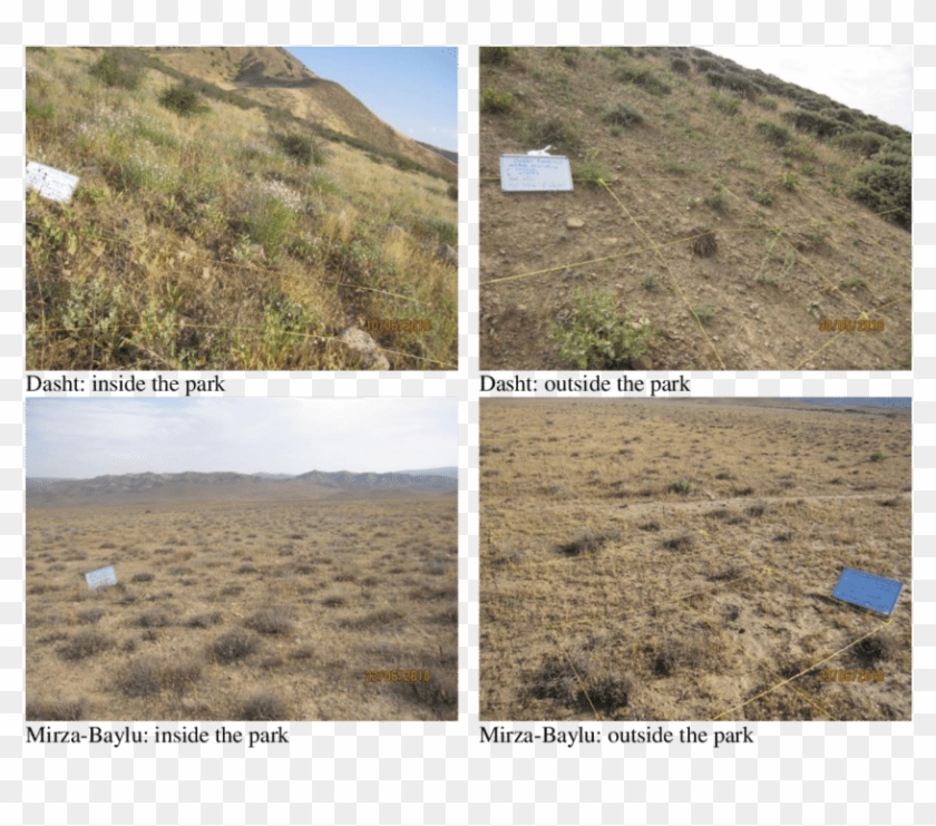 View Of Vegetation In The Study Area - Hill Clipart #2885751