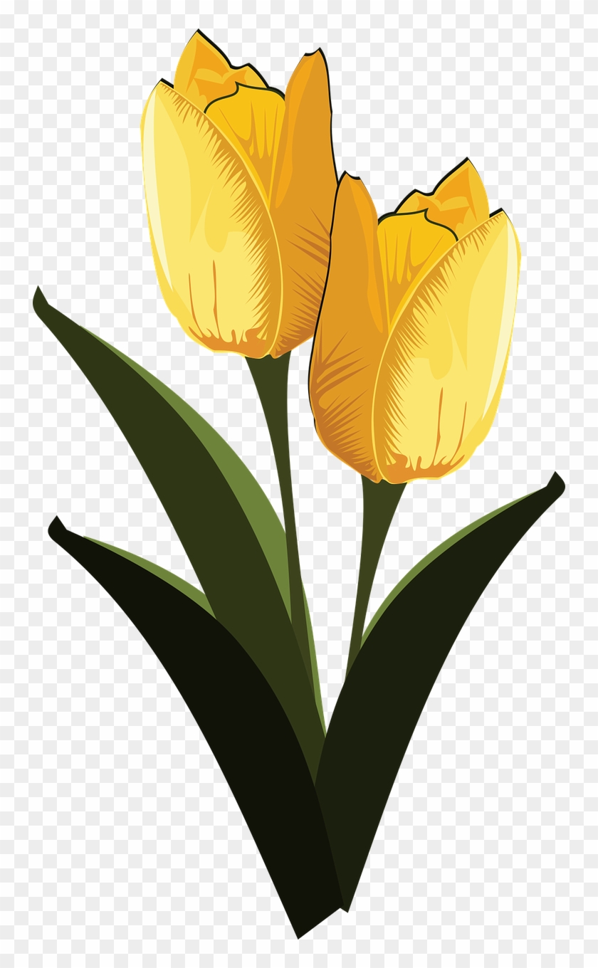 Clip Art Flor Flora Flower Png Image - Flora Flower Line Art Transparent Png #2886063