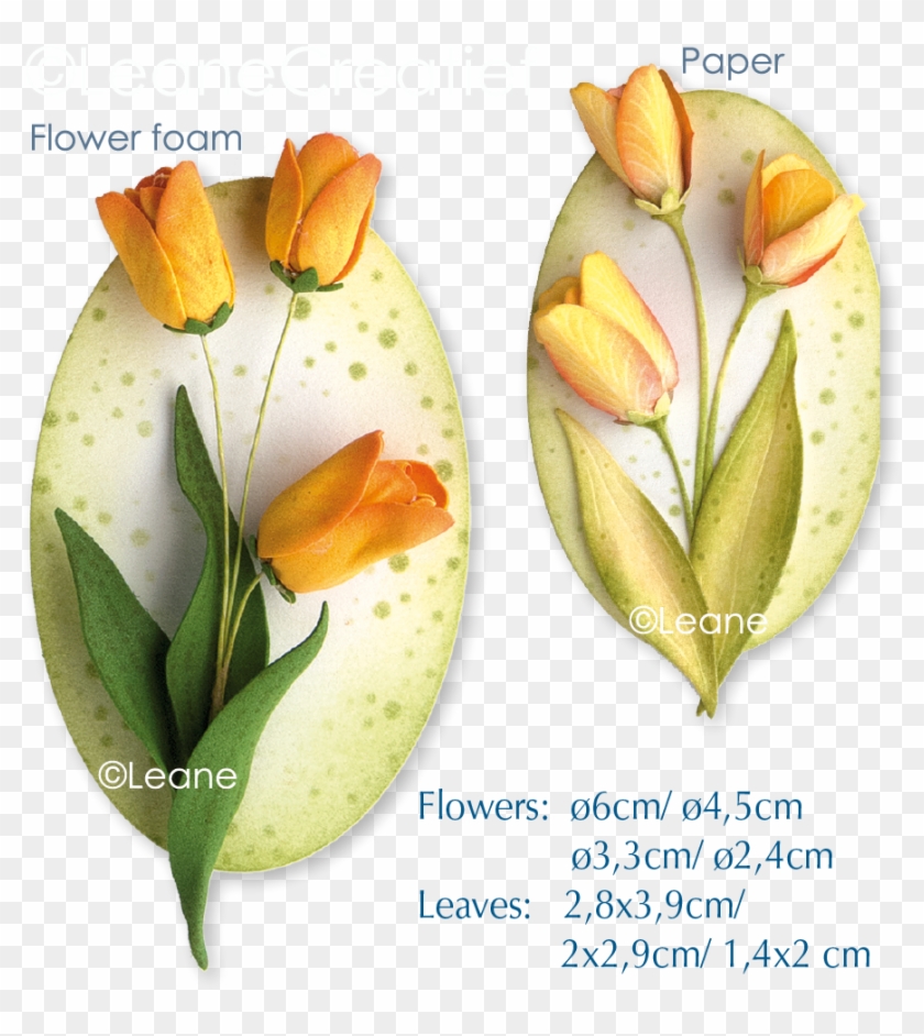 Picture Of Clear Stamp 3d Flower Tulip - Acianthera Luteola Clipart