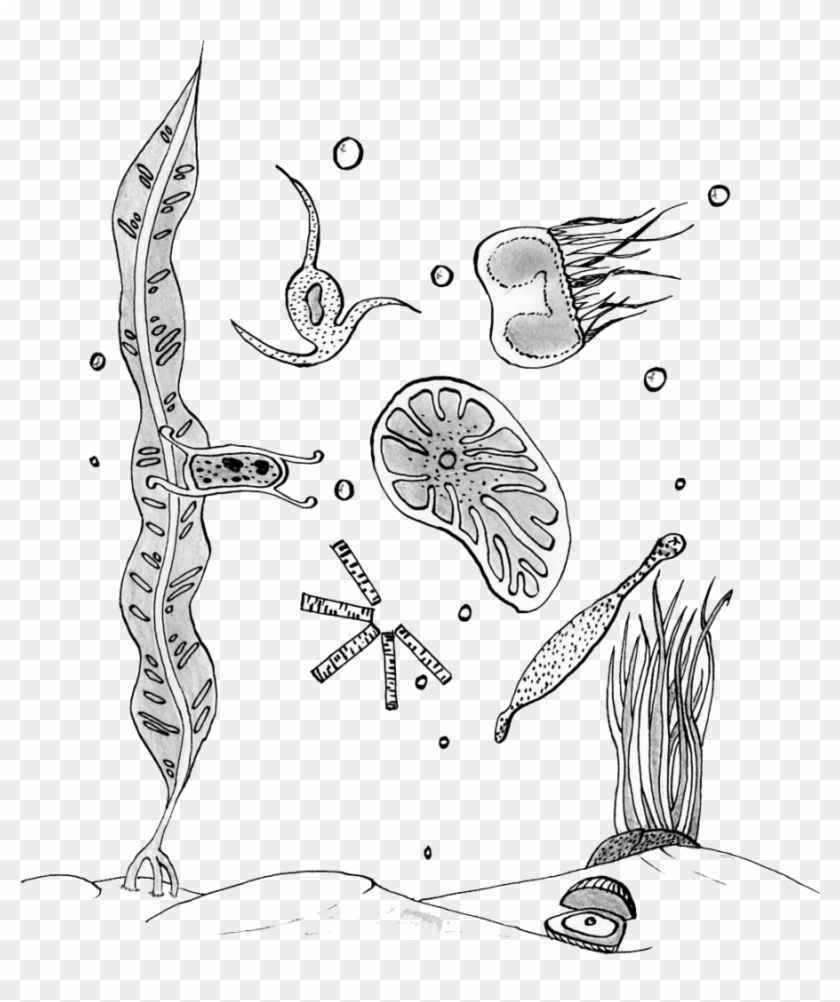 View Larger - Drawing Clipart