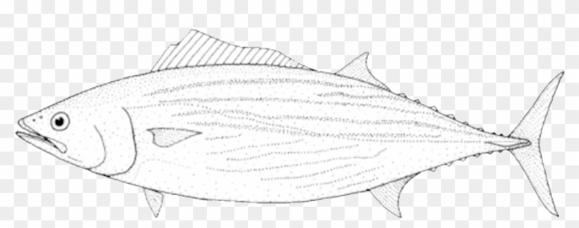 Png Free Download Convert To What S Local Eating With - Sole Clipart #2886651
