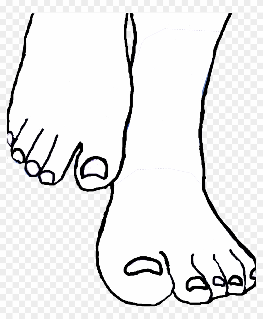 Foot Clip Art Feet - Clip Art - Png Download #2886806