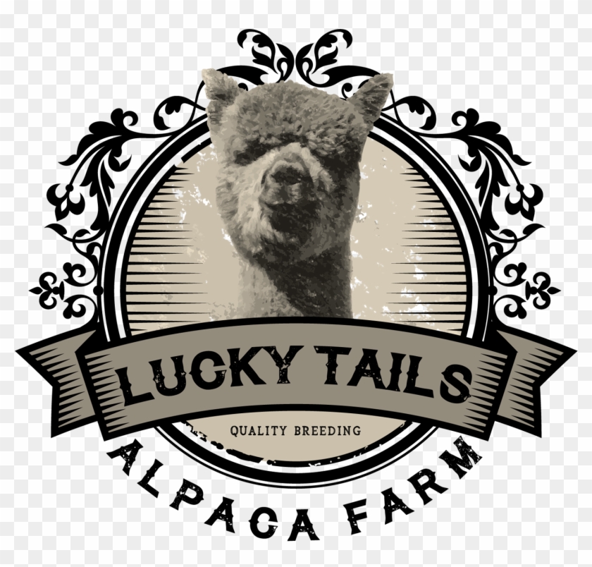 Alpacas - Fernanda Design De Sobrancelhas Clipart #2886951