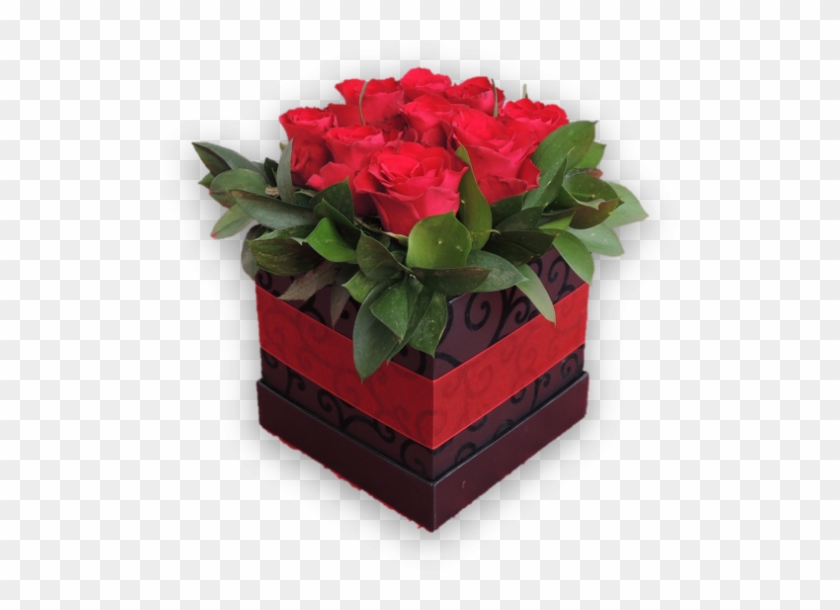 Bloomin Box Red - Floribunda Clipart #2887525