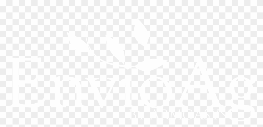 Download White Version 1800×822 Pixels Png - Graphic Design Clipart