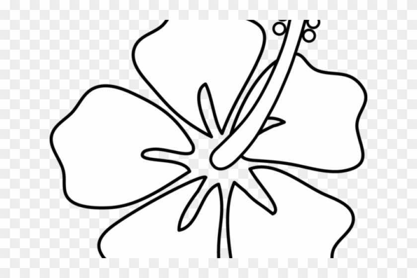 Hawaiian Flower Outline - Drawing Clipart