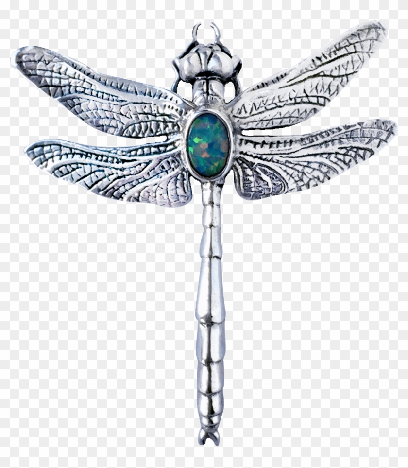 Natural Dragonfly Pin Creations, For Beauty, And Fun - Dragonfly Clipart #2889699