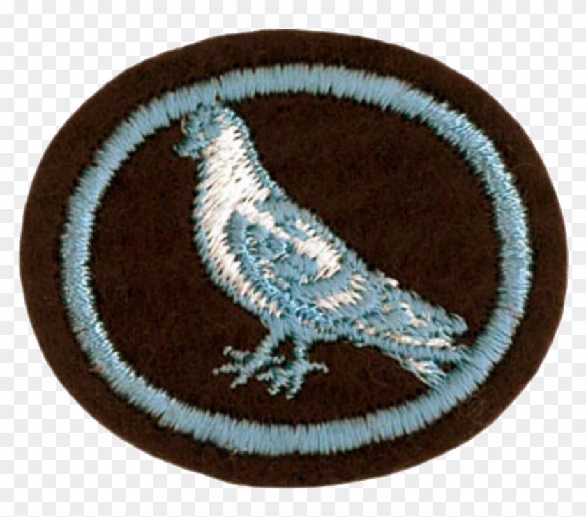 Pigeon Raising Honor - Eagle Clipart #2890128