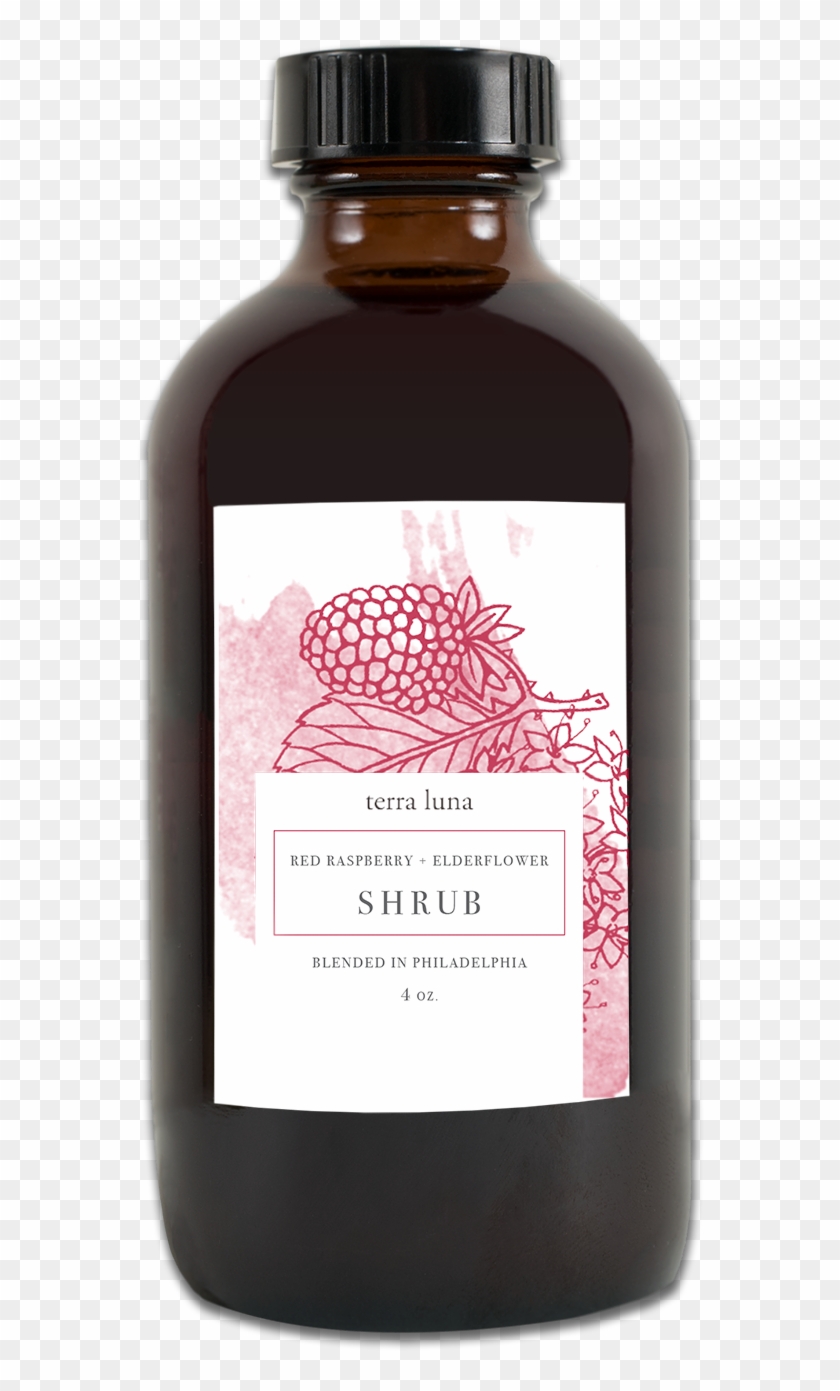 Shrubs Png Clipart #2891201