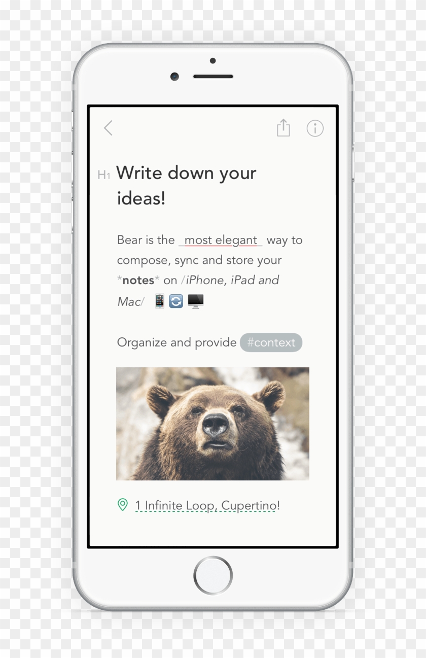 Bear - Grizzly Bear Clipart #2891554