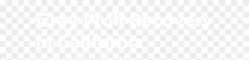 Home - Tottenham Hotspur White Logo Png Clipart