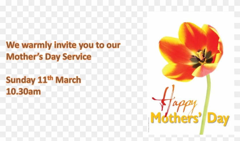 Mothers-day - Honkamp Krueger Clipart #2893261