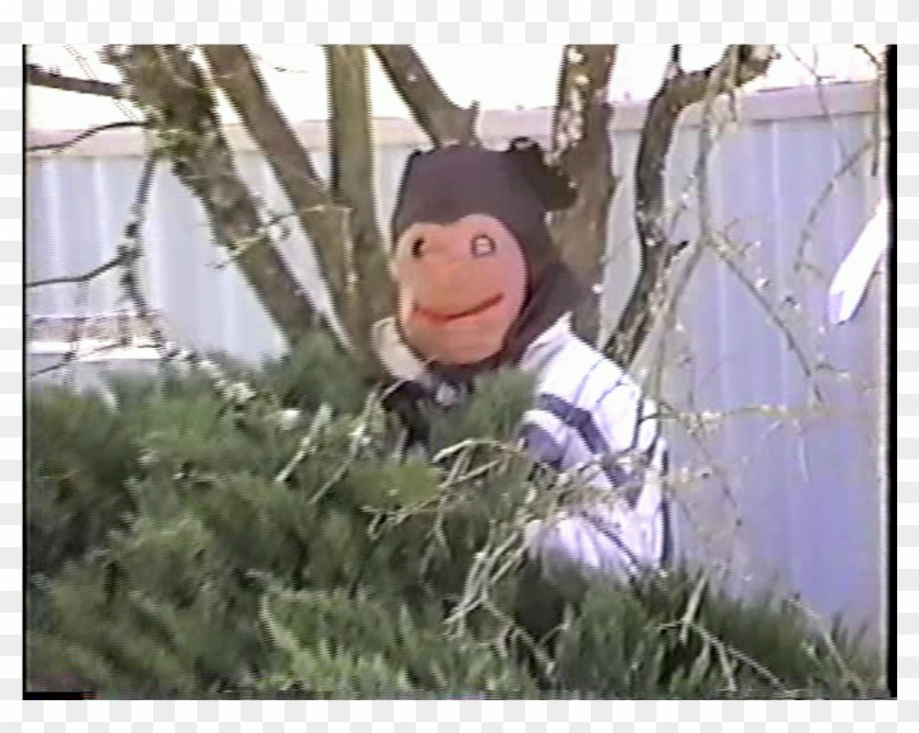 1996 02 02 Me Wolf 01 - Cartoon Clipart #2893286