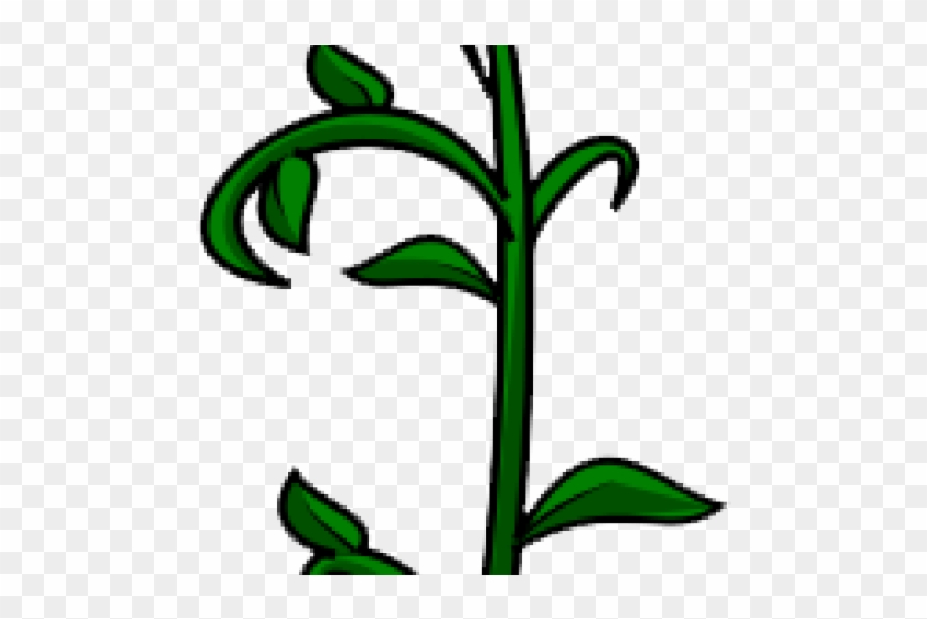 Vines Clipart Rainforest Vine - Vine Plant Clip Art - Png Download #2894136