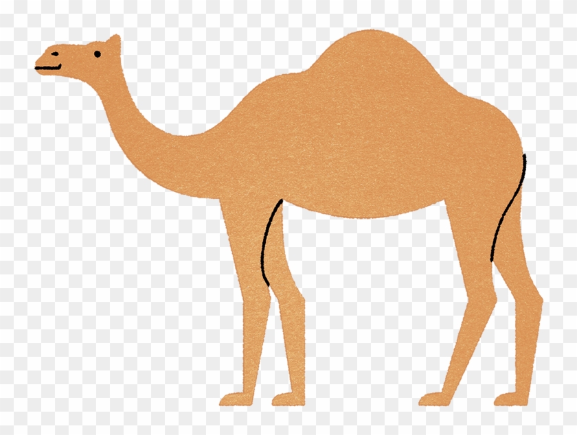 Camel Clipart Alice The Camel - Arabian Camel - Png Download #2894398