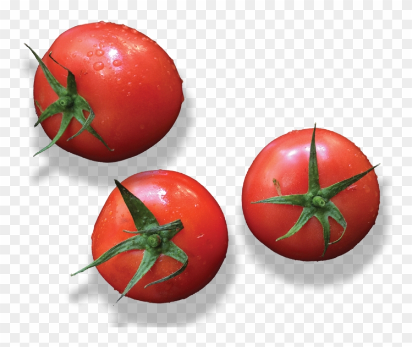 Tomato - Plum Tomato Clipart #2894774