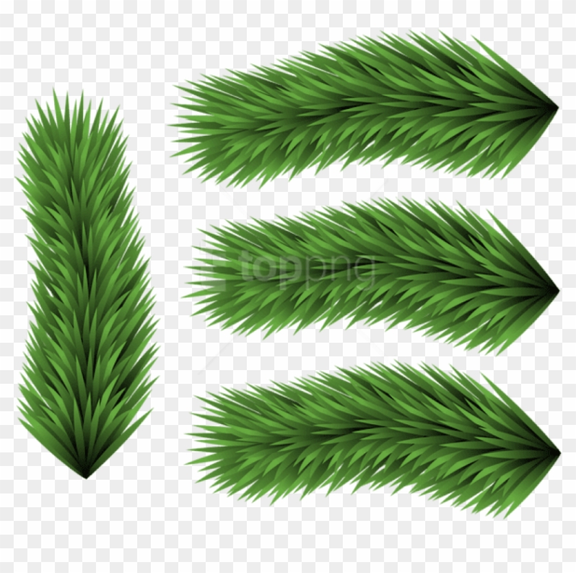 Free Png Set Of Pine Branches Png - Grass Clipart
