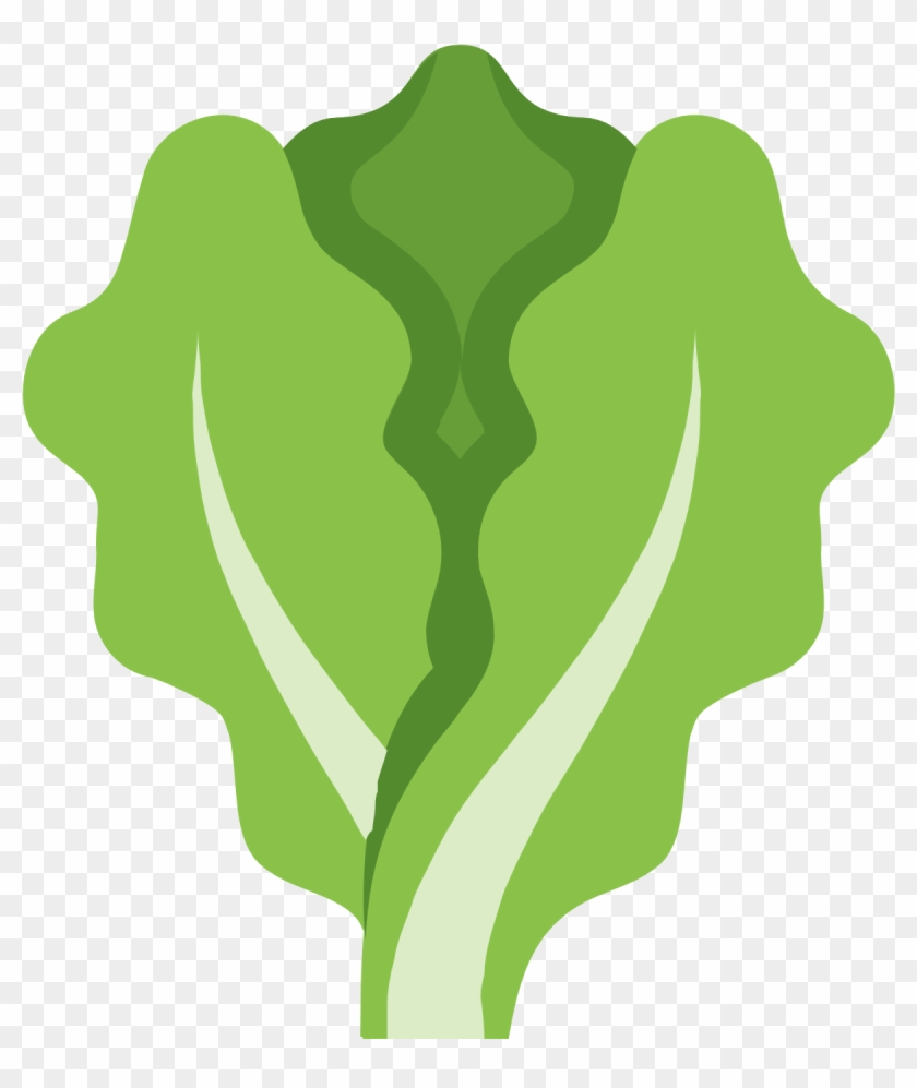 Lettuce Clipart Outline - Lettuce Icon Png Transparent Png #2895236