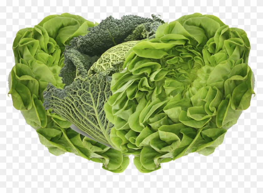 Discover The San Luis Valley Difference - Green Vegetable Clipart #2895285