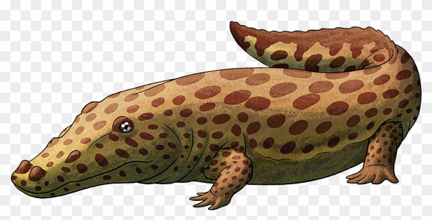 Tumblr Obw68chehf1s5f2yxo1 R1 - Gecko Clipart #2895770