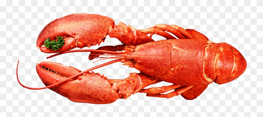 Lobster Top Seafood - American Lobster Clipart