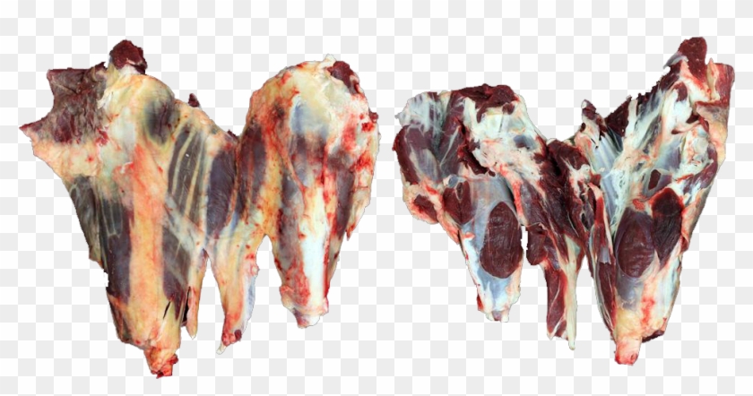 Shell , Png Download - Salt-cured Meat Clipart #2896645