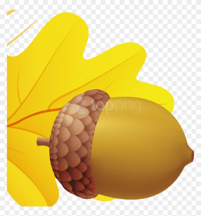 Free Png Download Acorn Png Images Background Png Images - Желудь Рисунок Png Clipart