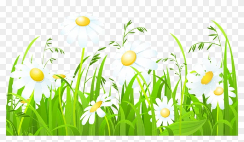 Free Png Download White Flowers And Grass Transparent - Grass Clipart #290327