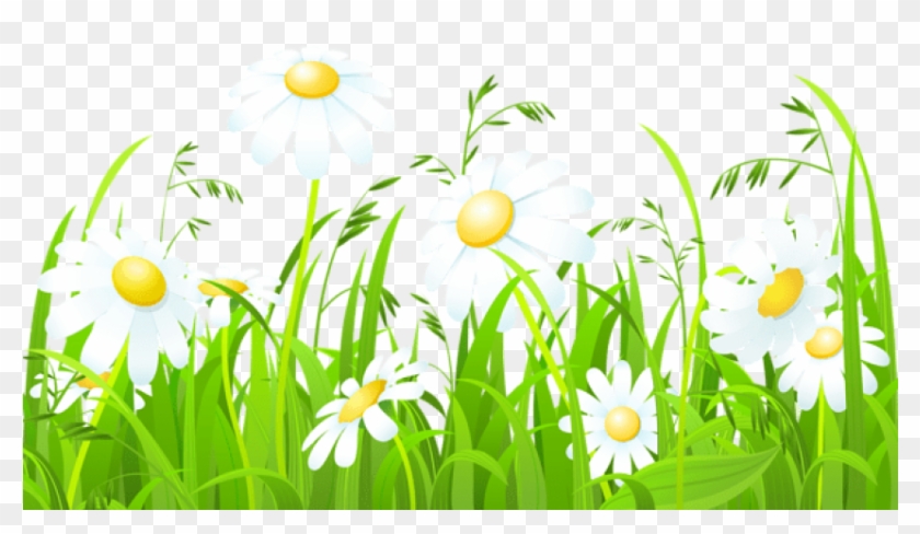 Free Png Download White Flowers And Grass Transparent - Grass Clipart