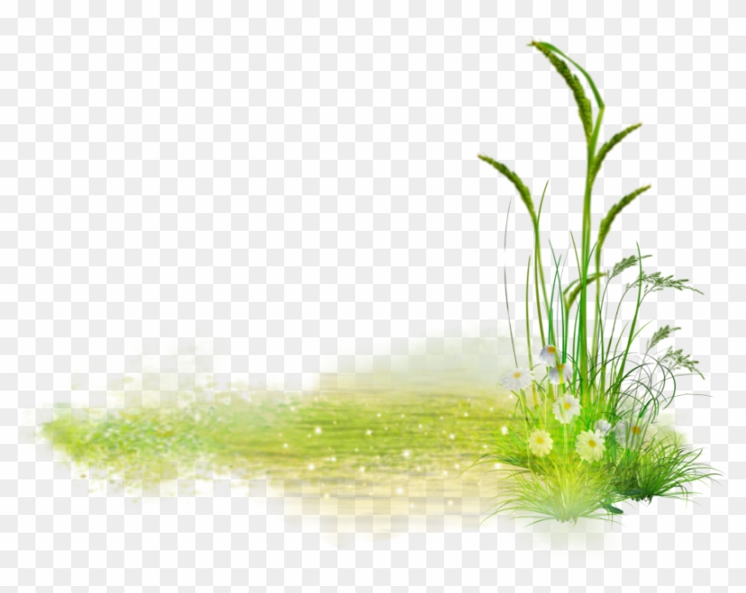 Sweet Grass Clipart #290598