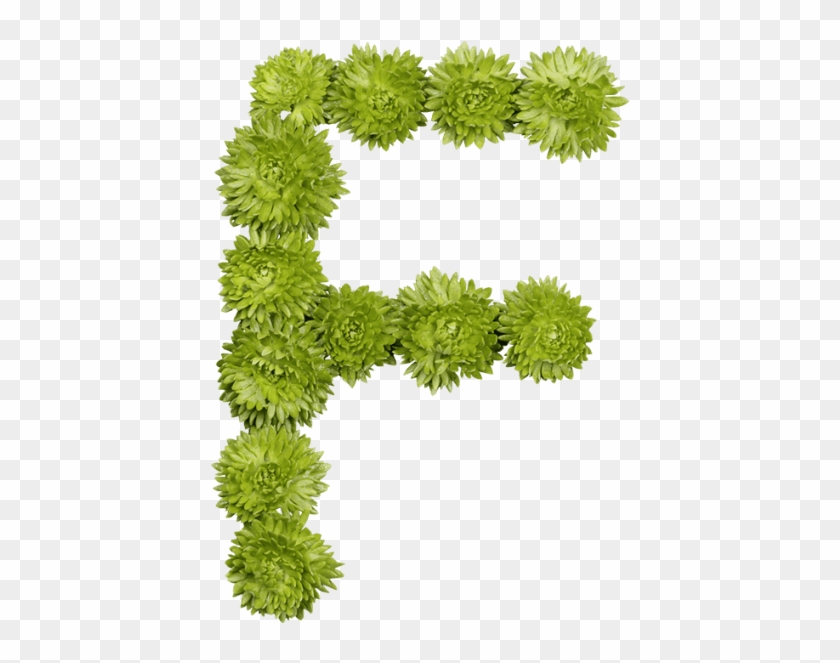 Green Flower Font - Grass Clipart #290983