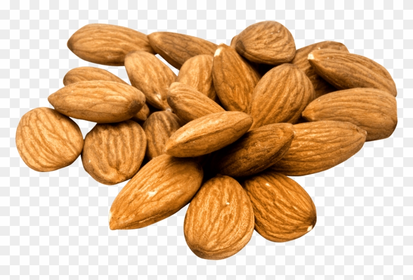 Free Png Almond Png Images Transparent - Almonds Png Clipart
