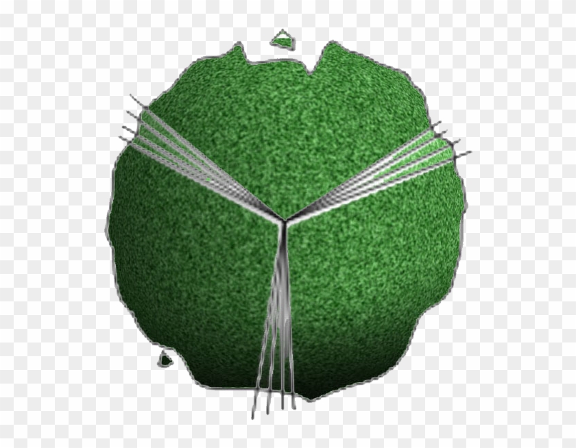 Beringin Tree - Photoshop Trees 2d Sketches Clipart