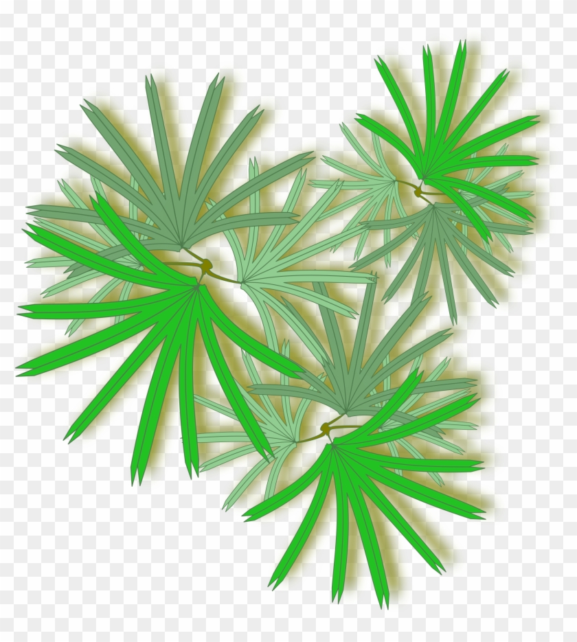 Palm Top View Png Clipart #292872