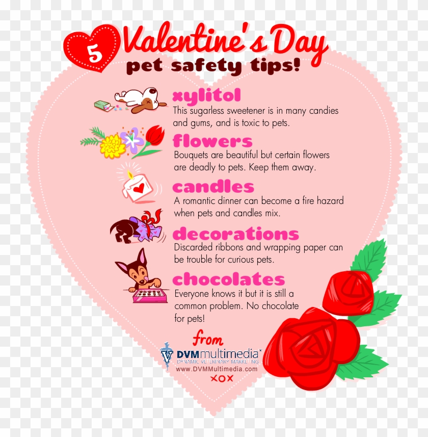 Dvm-valentine - Valentines Day Pet Tips Clipart #292929