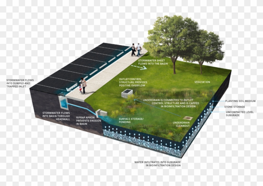 2 Components - Bioretention Basin Design Clipart #293183
