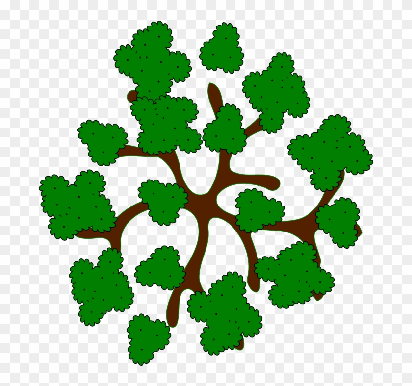 28 Collection Of Trees Clipart Top View - Tree Top View Cartoon - Png Download