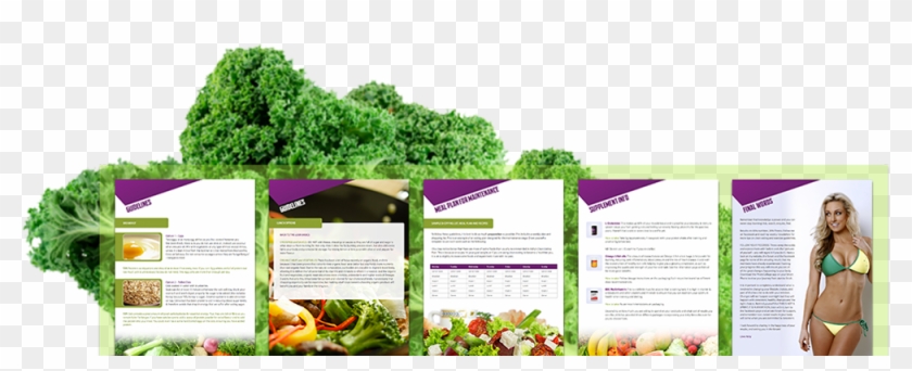 Eating-plan - Variétés De Chou Clipart #293413